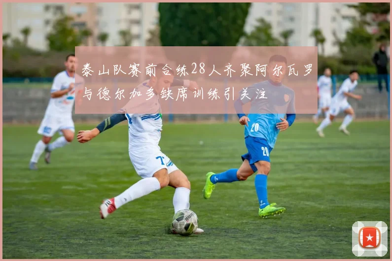 泰山队赛前合练28人齐聚阿尔瓦罗与德尔加多缺席训练引关注