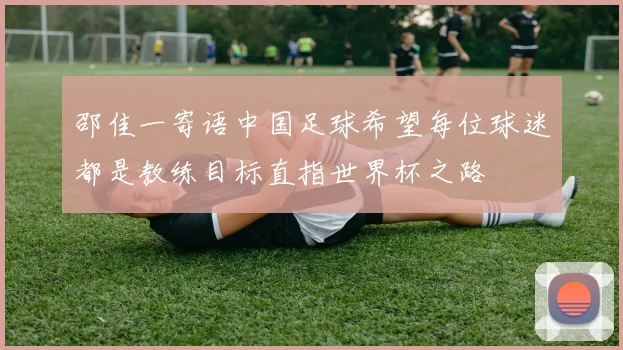 邵佳一寄语中国足球希望每位球迷都是教练目标直指世界杯之路