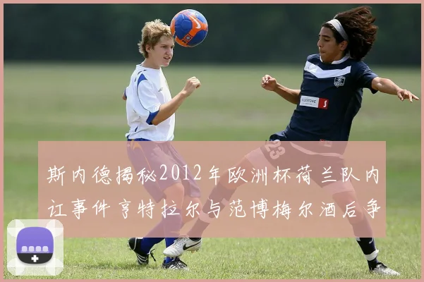 斯内德揭秘2012年欧洲杯荷兰队内讧事件亨特拉尔与范博梅尔酒后争执内幕